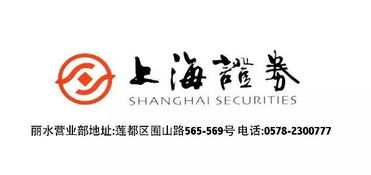 上海證券麗水營業(yè)部開業(yè)盛典，投資控股引領財富未來